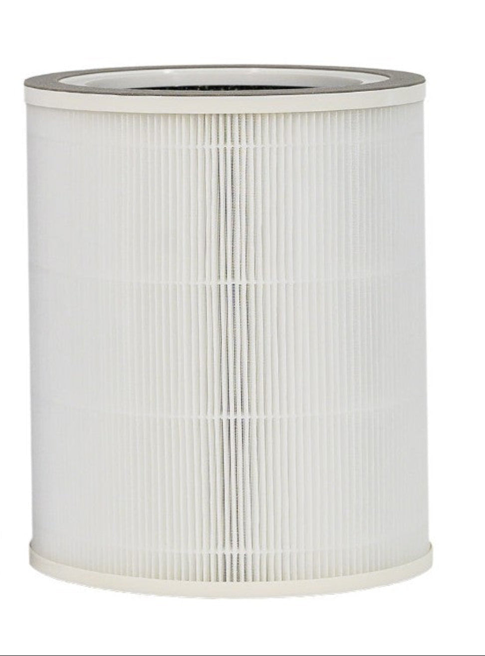 Filtru H13 HEPA Ecozen FreshMist 8202