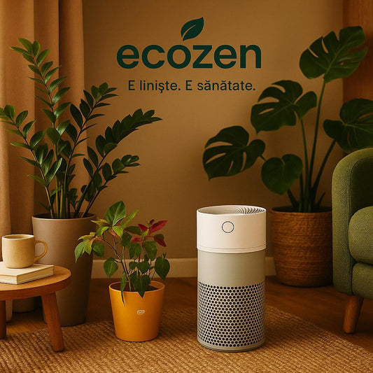 Top 5 beneficii ale purificatorului de aer: de ce merita sa ai unul in casa