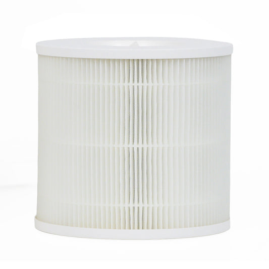 Filtru H13 HEPA Ecozen ClearSky 9921