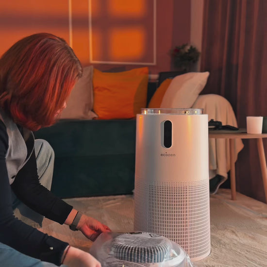 Ecozen FreshMist 8202 video